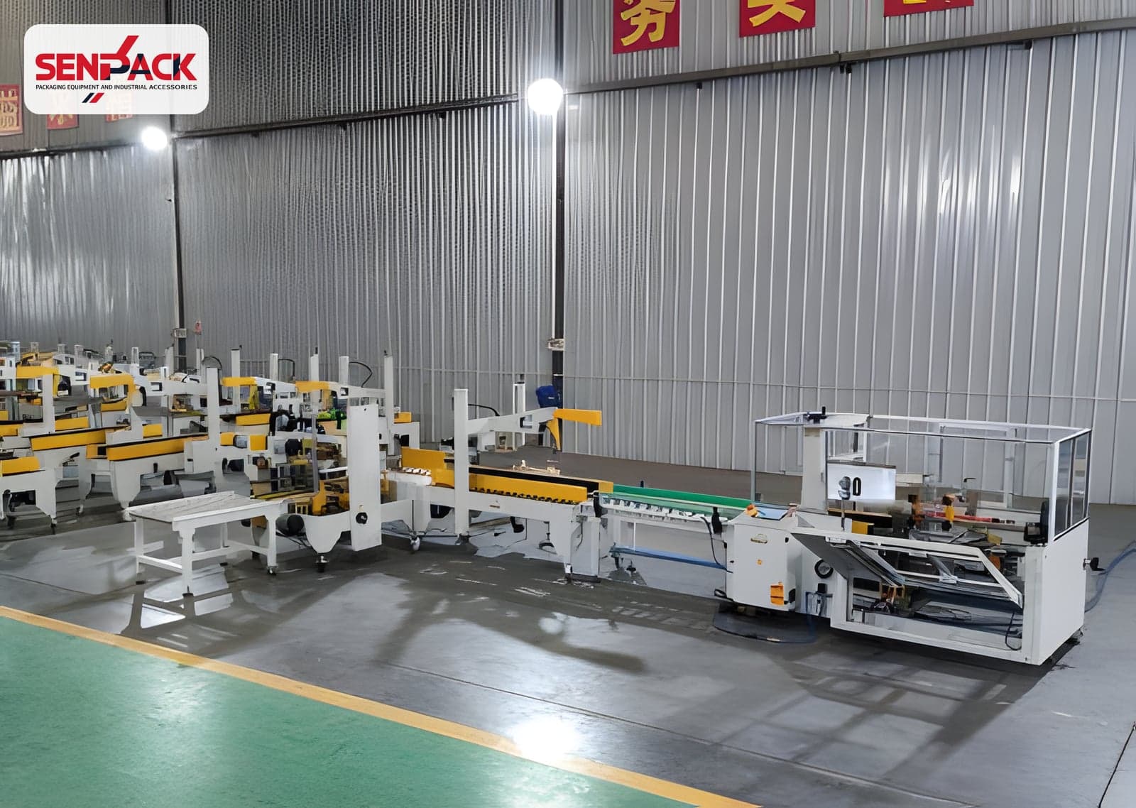 Dây Chuyền Xếp Sản Phẩm Vào Thùng Carton
